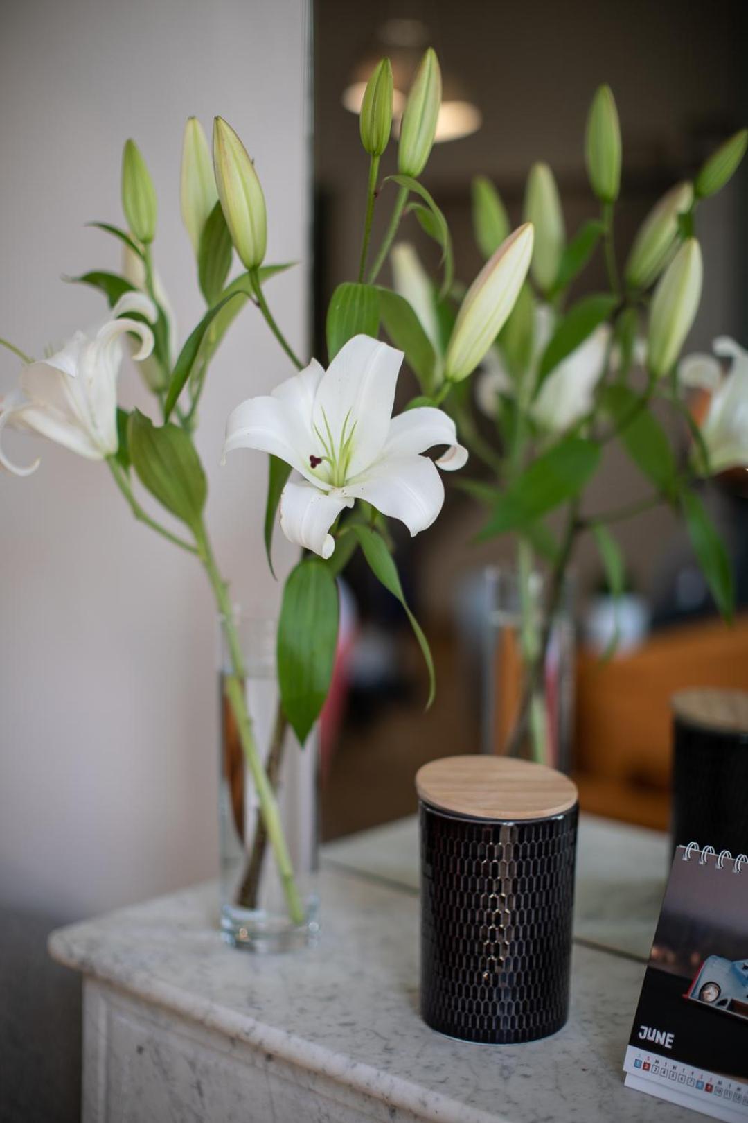 Ecrin Design A Deux Pas De La Mer Cannes Luaran gambar